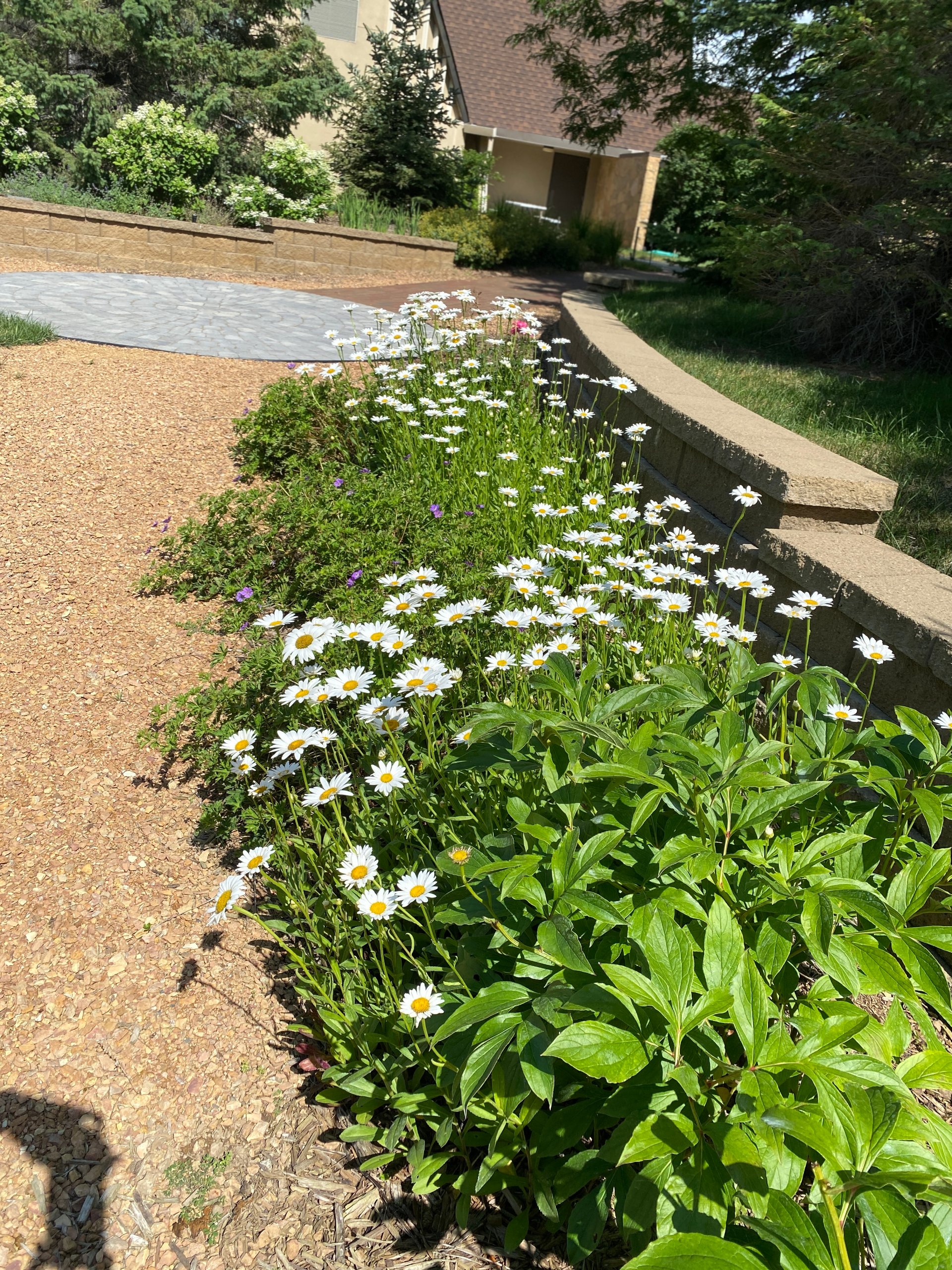 Trinity Memorial Garden