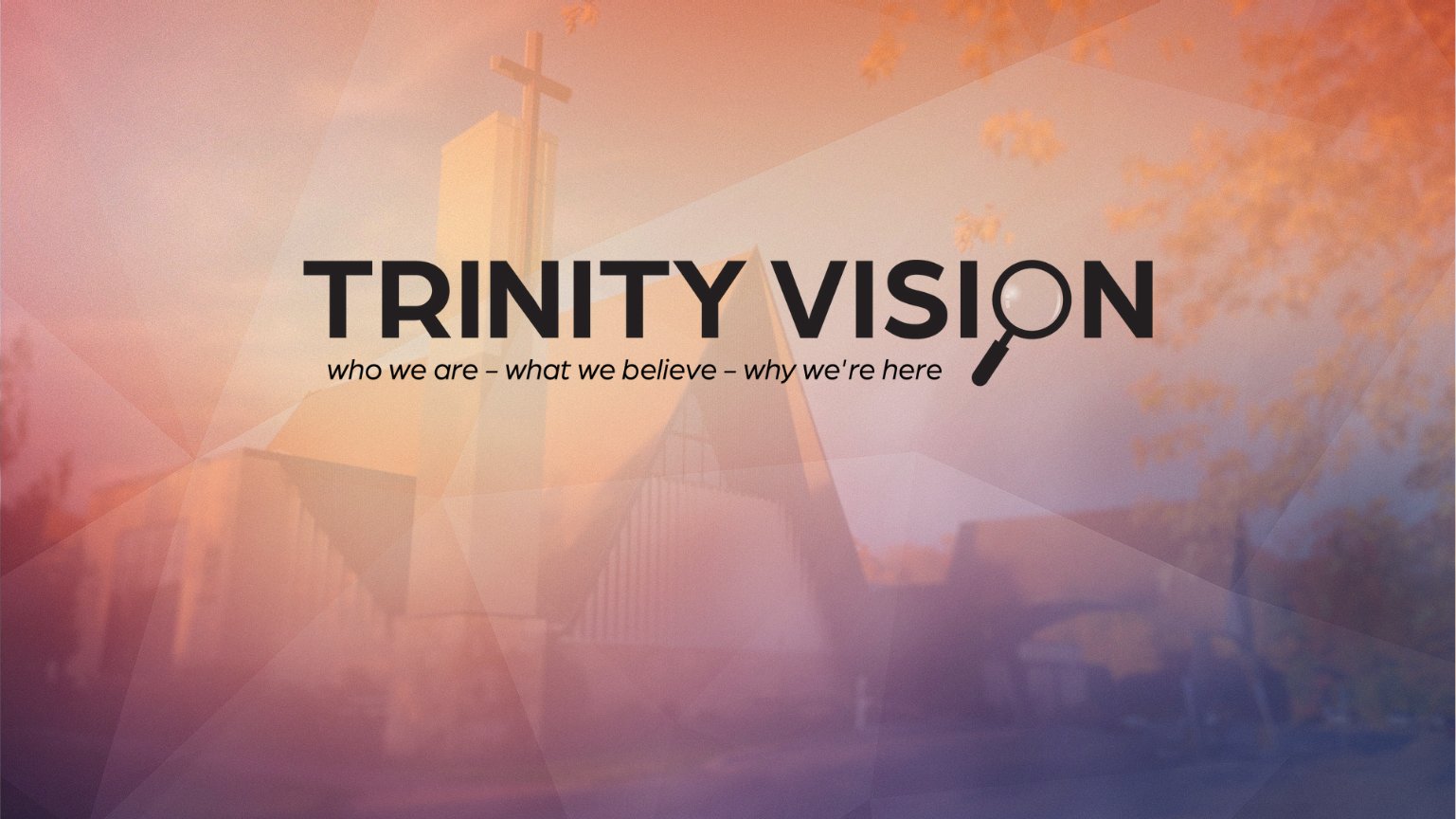 Trinity Vision