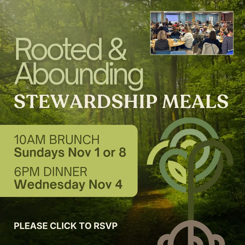 Stewardship27 web ad