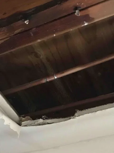 Ceiling opened to find a leak by Graham Plumbing