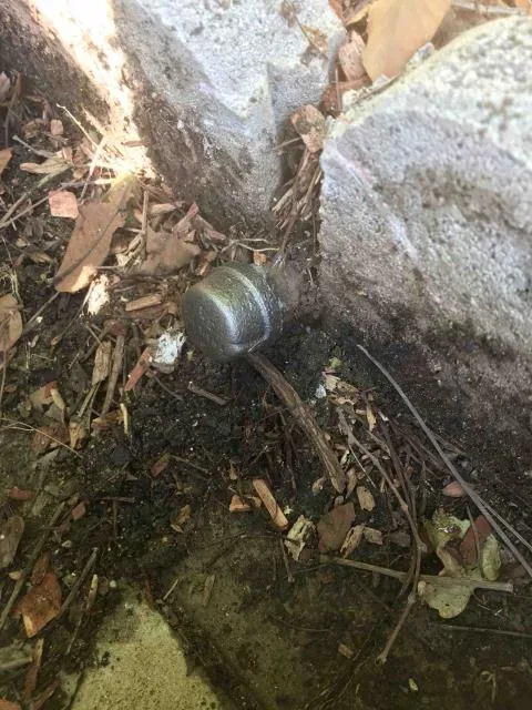 Outdoor drain cleanout by Graham Plumbing