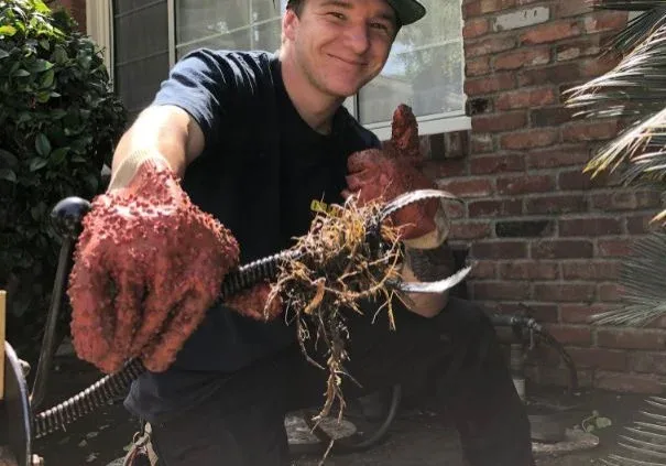 Roots removed from a clogged drain by Graham Plumbing