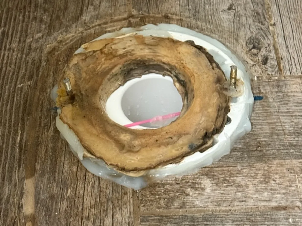 Toilet Flange Repair in White Bear Lake, MN before the work by Twin City Pipeworks