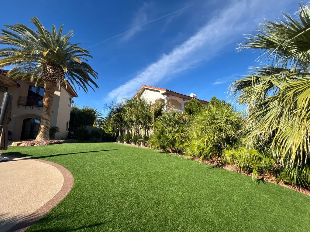 Professionally maintained lawn and tropical landscaping in a residential front yard setting.