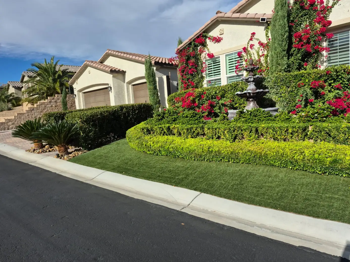 Lawn care and ornamental planting in a residential front yard, featuring manicured turf, hedges, vibrant bougainvillea vines, and a decorative water feature.