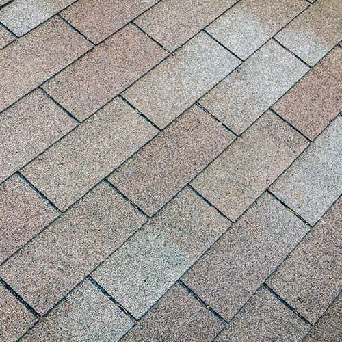 Clean asphalt shingle roof in a herringbone pattern, showing the finished result of pressure washing or roof cleaning service work.