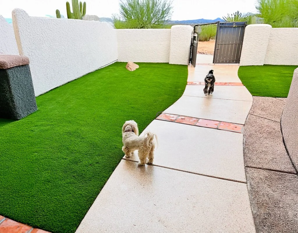 Pet-Friendly Grass