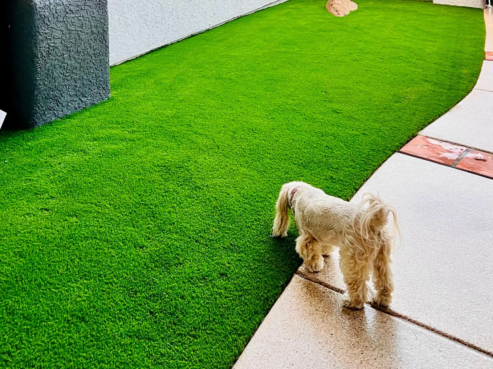 artificial turf installation work, project example in Apache Junction, AZ