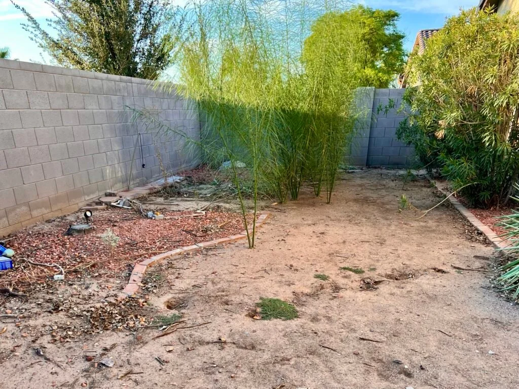 Landscape planting and garden design in progress within a residential backyard space bounded by concrete block walls.