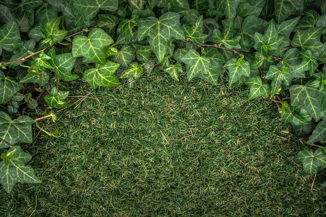 Lawn Stripes
