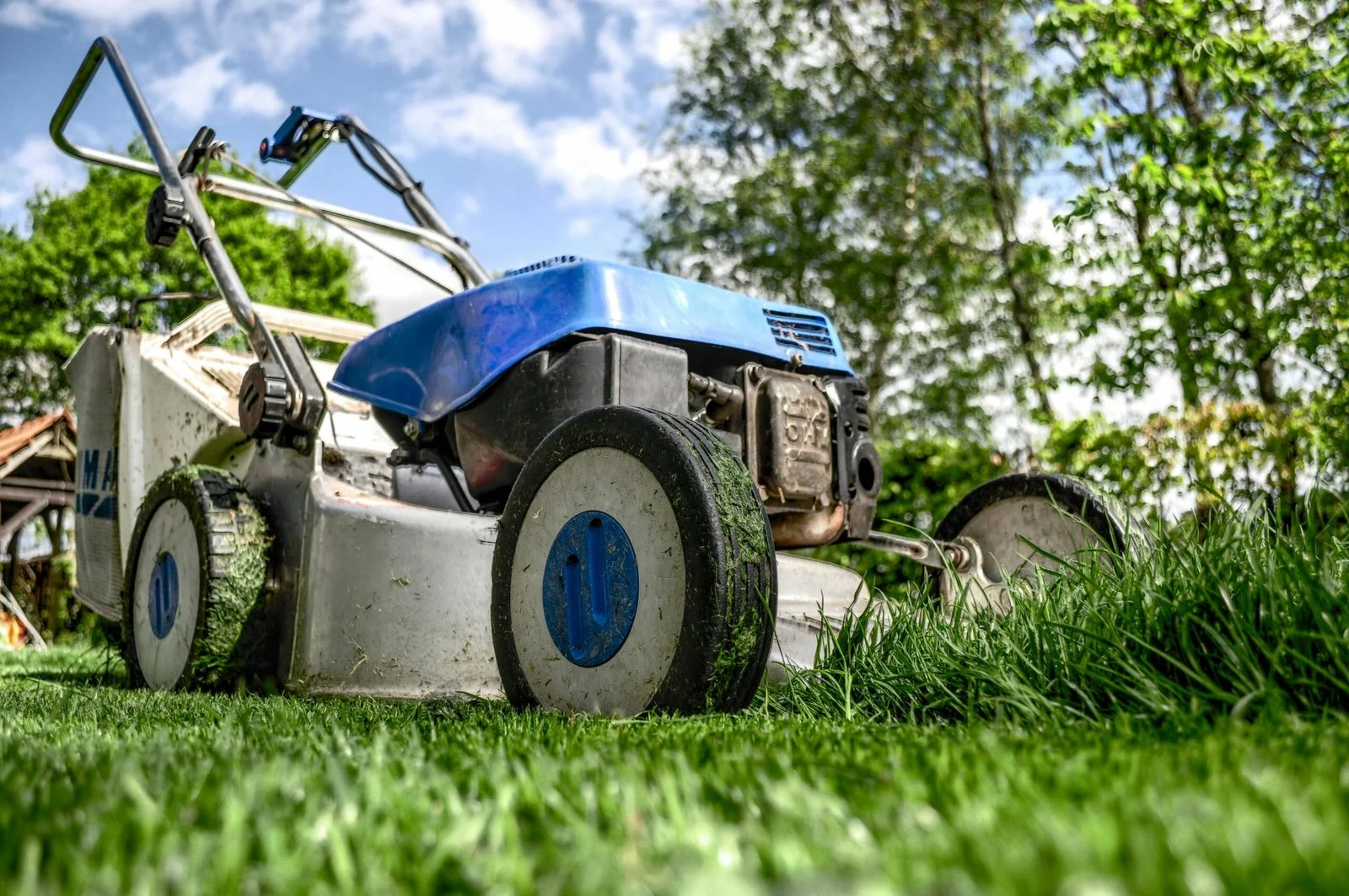 poolside and patio turf work, professional service in Phoenix, AZ