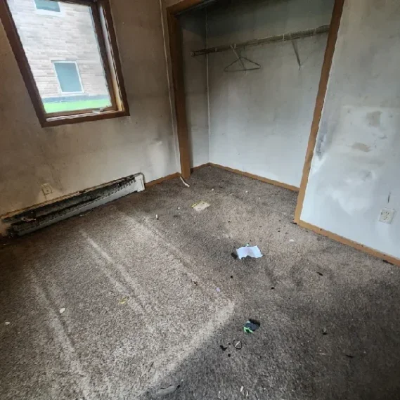 Carpet Removal Companies That Actually Recycle the Stuff
