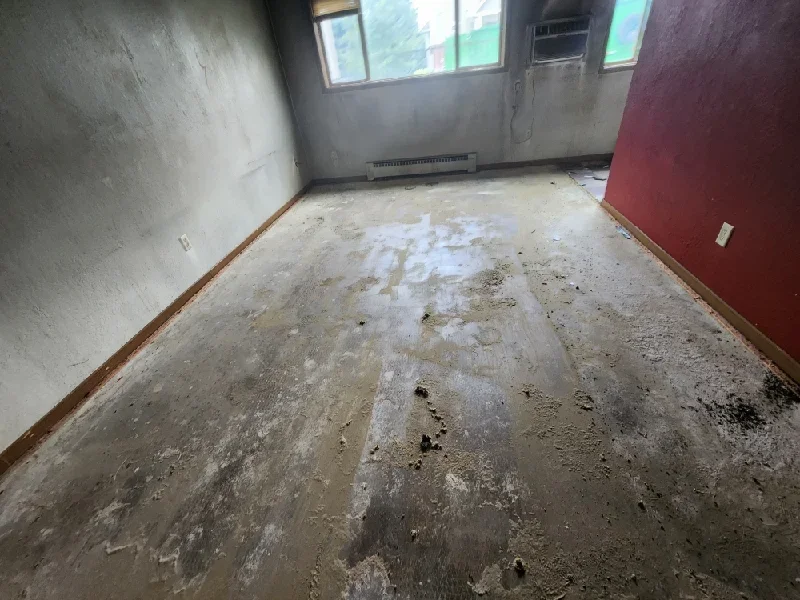 Floor debris removal and site cleanup in an unfinished interior space showing concrete flooring with scattered dirt and construction waste.