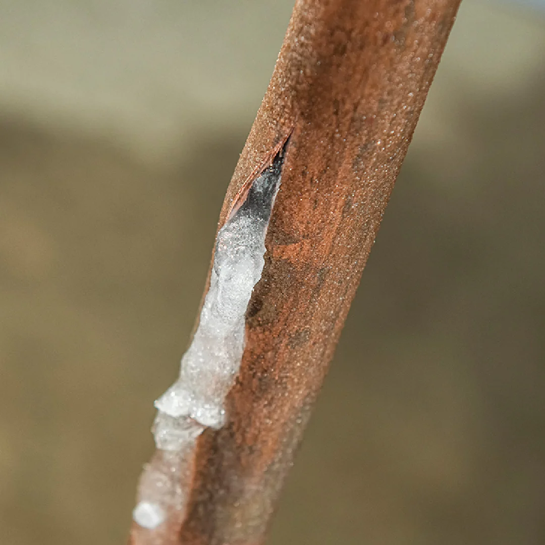 Copper pipe with a white patched repair over a leak