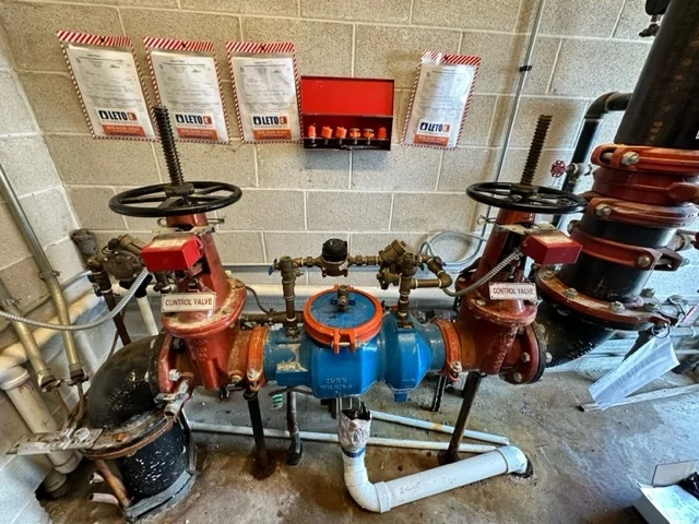 Water service main shut-off valve assembly with dual red ball valves and blue check valve in a basement utility installation.