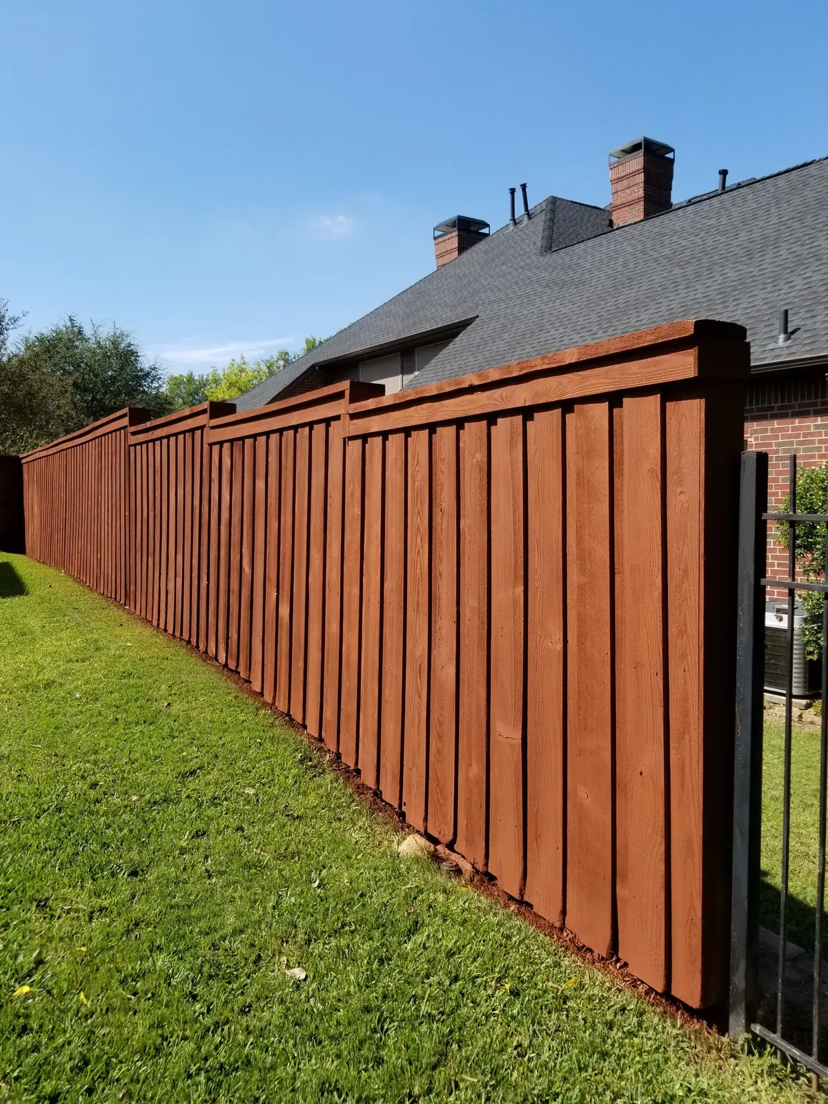 Freshly stained cedar fence along a lawn