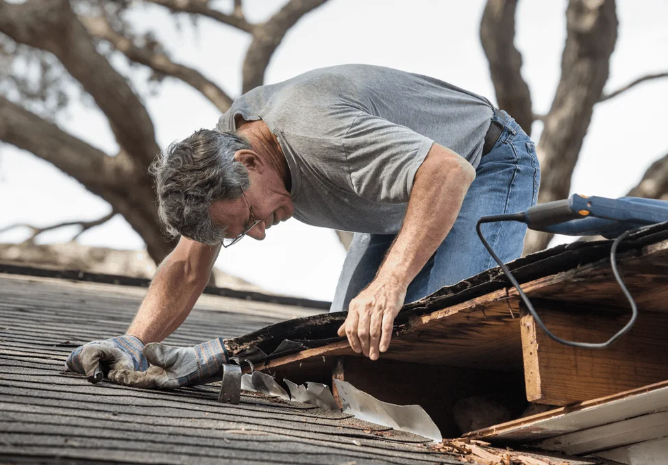 Roof Leak Repair That Finds the Source, Not Just the Drip
