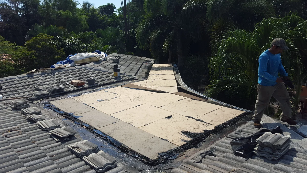 Roof replacement work in progress showing removal of old tiles and installation of new asphalt shingles on a residential roof surrounded by tropical vegetation.