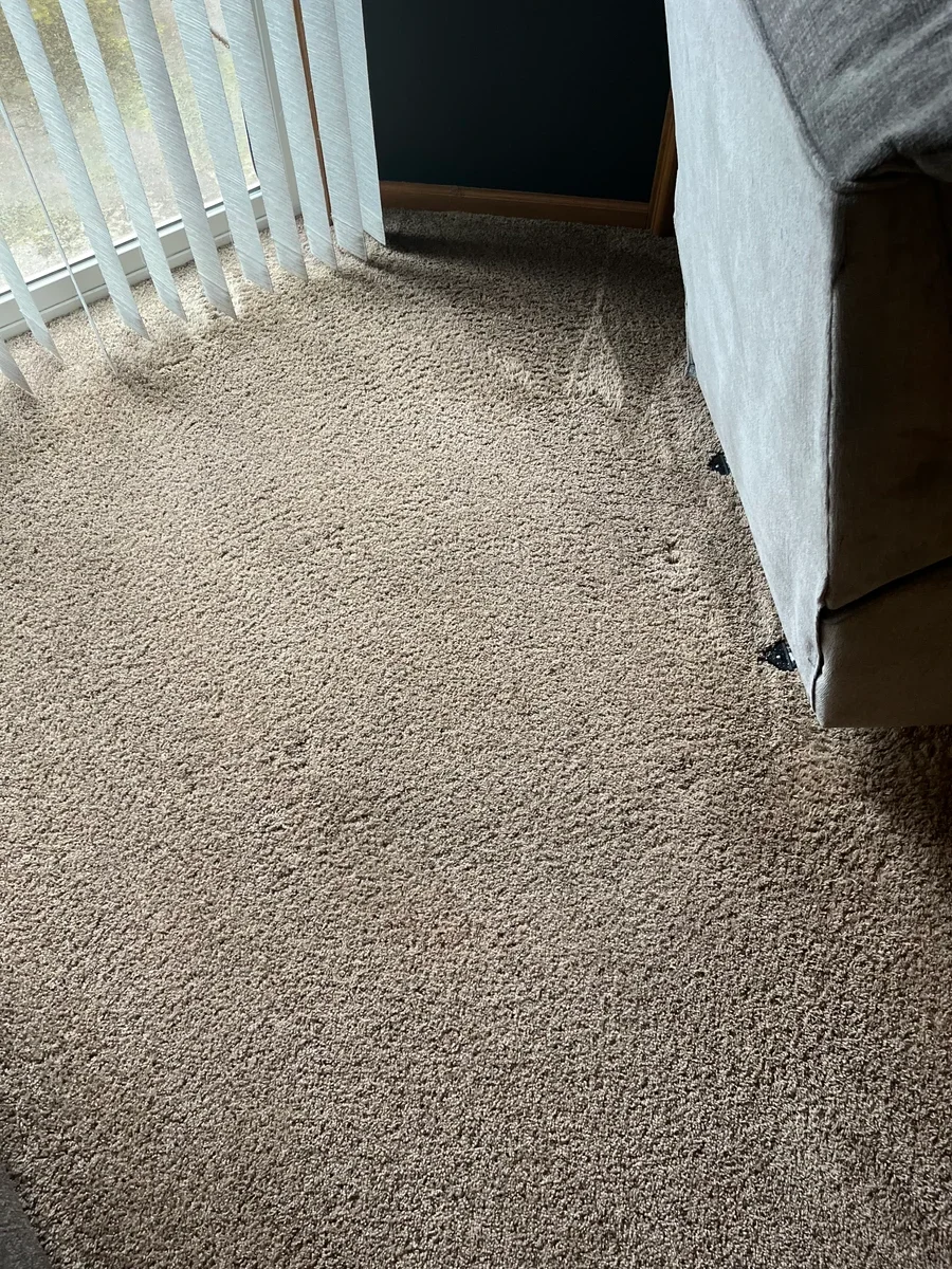 Carpet cleaning in a residential bedroom showing a freshly cleaned beige carpet next to furniture and window blinds.