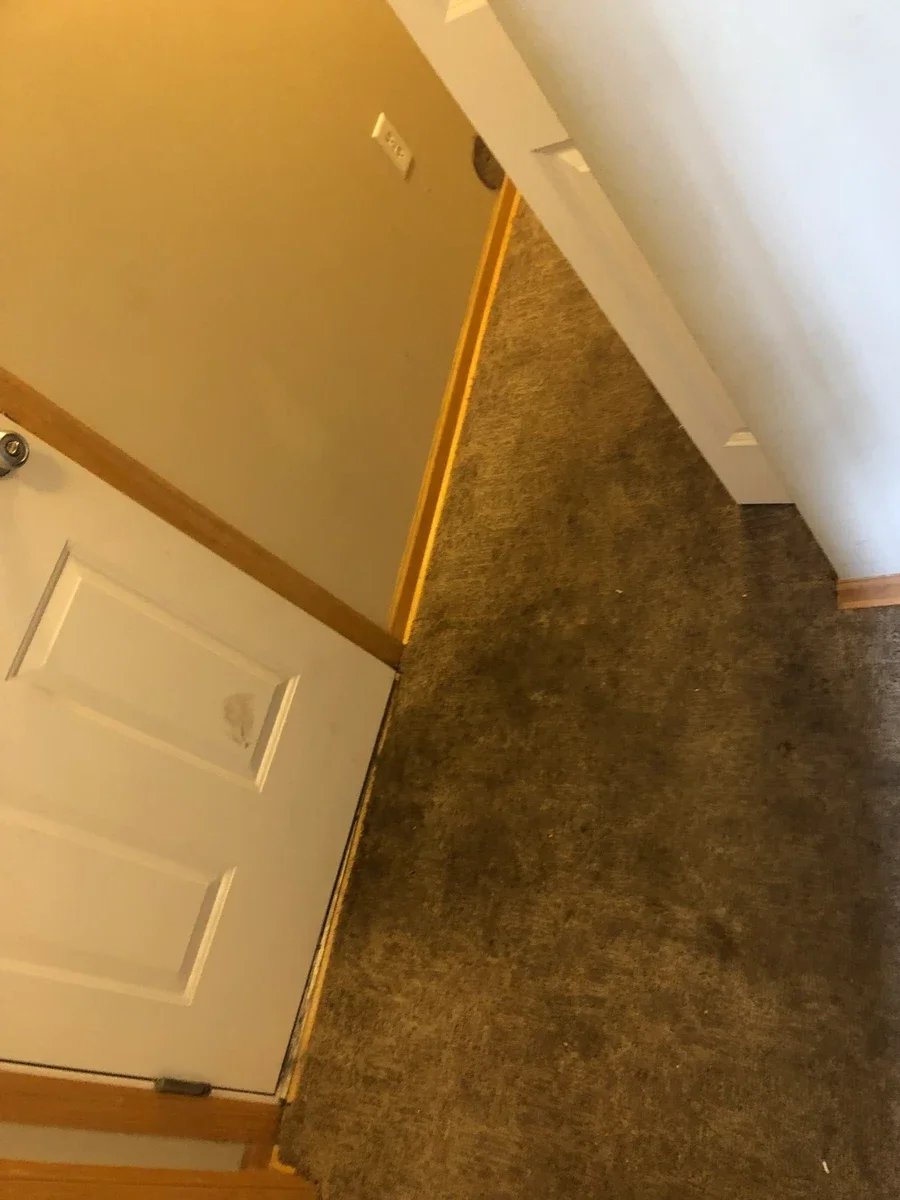 Carpet cleaning in a residential hallway showing before/after results with cleaned carpet adjacent to soiled carpet.