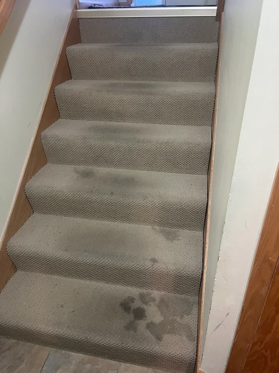 What Maple Plain Homeowners Breathe When Ducts Go Uncleaned