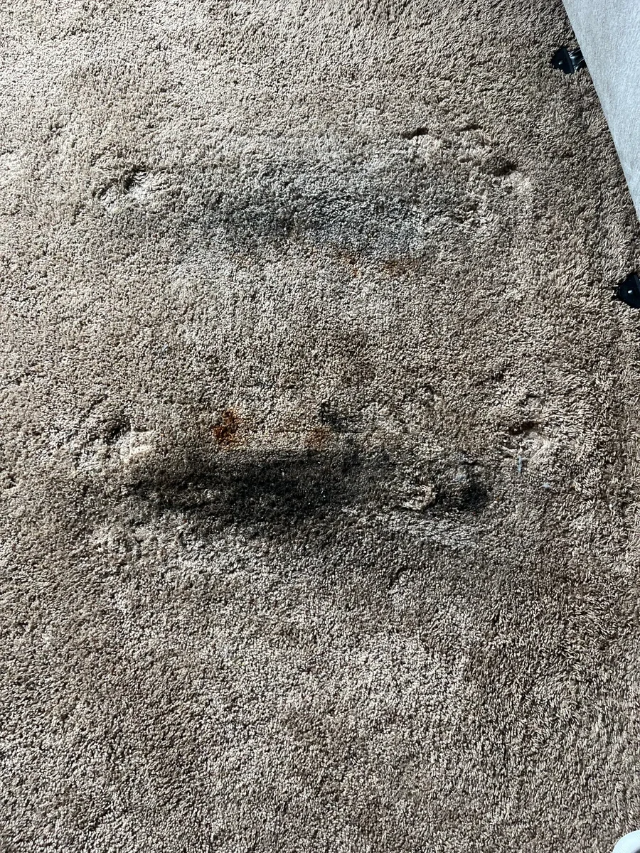 Carpet cleaning service on a residential carpet showing dirt and stain removal results.