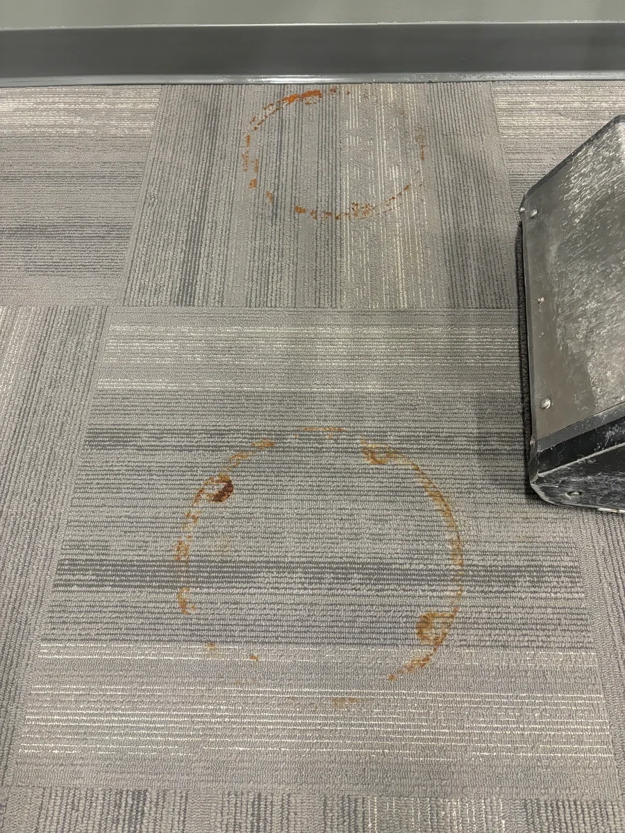 Carpet cleaning service removing stains from commercial office flooring.