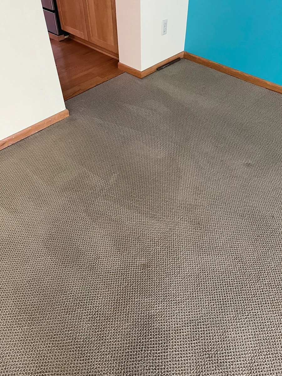 Carpet cleaning service showing a freshly cleaned gray carpeted room with wood baseboards and trim.