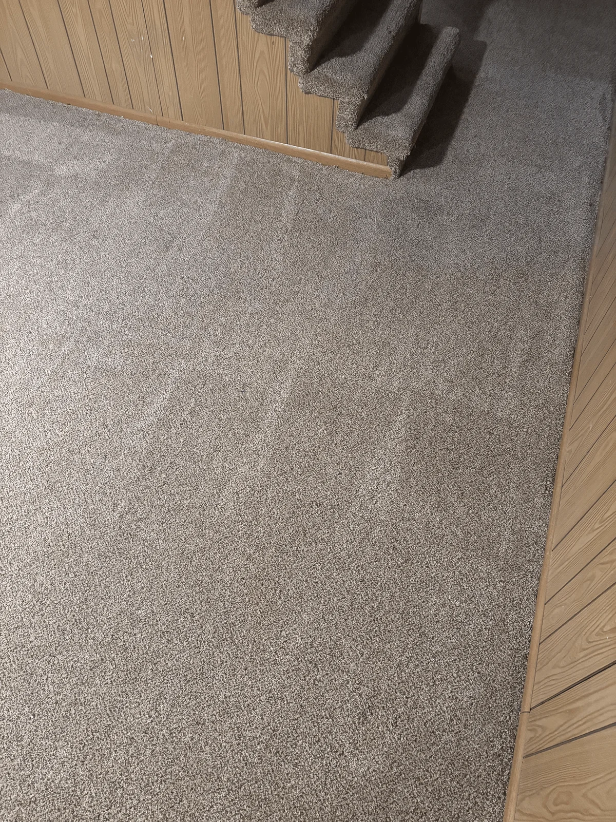 Clean carpet and flooring in a residential room after cleaning services.