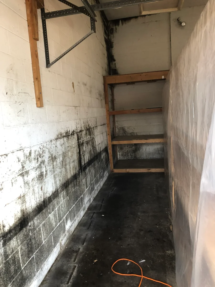 Deep cleaning service in a basement or cellar space showing significant mold and dirt buildup on walls and floor before treatment.