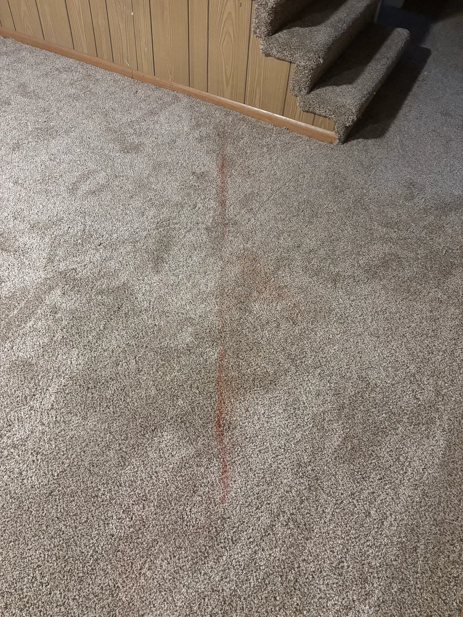 Residential carpet cleaning showing a light beige carpet with a visible cleaning line running vertically through the center, demonstrating before-and-after results in a home interior space.