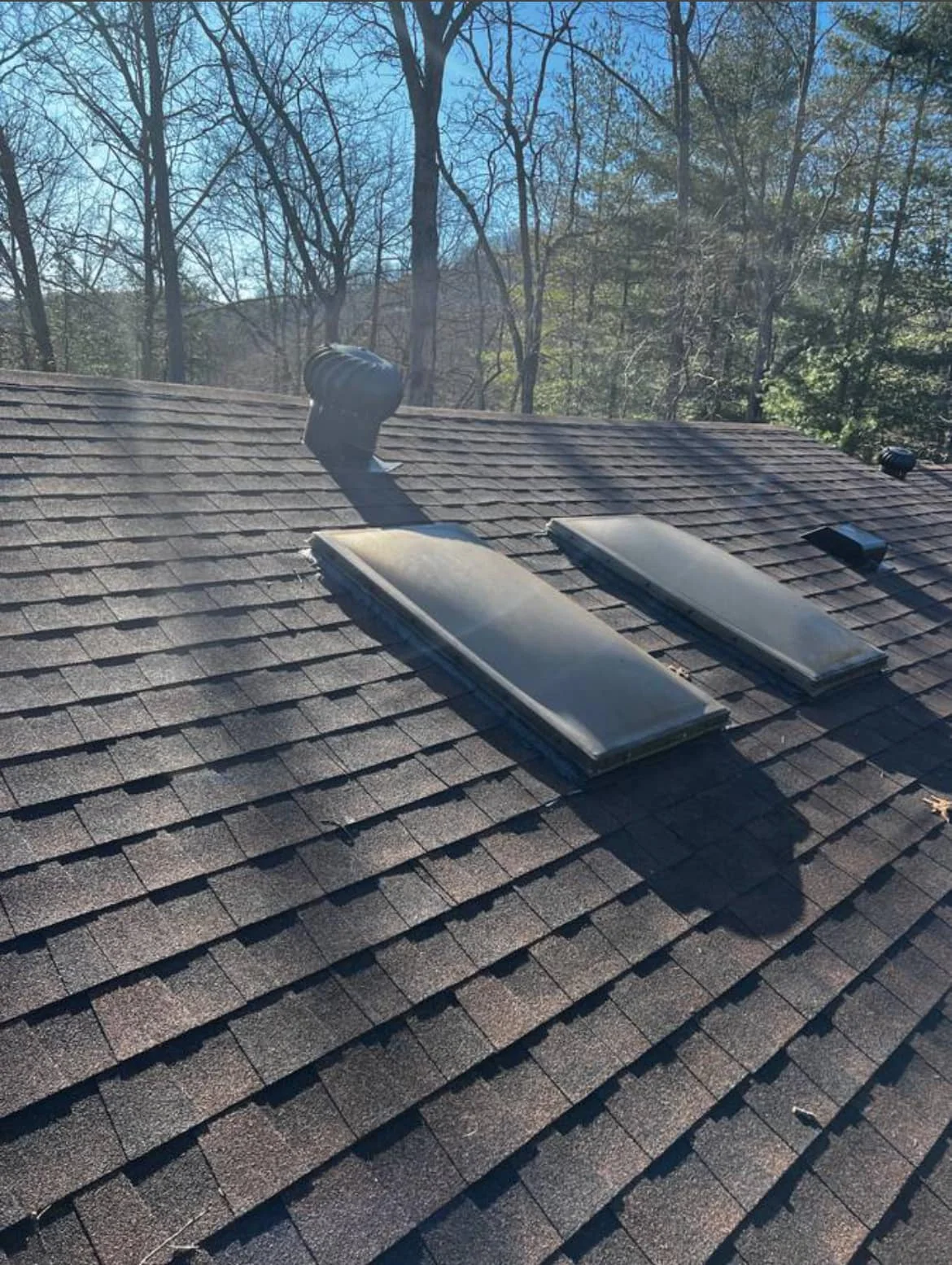 Roof skylights and ventilation installed on an asphalt shingle roof with a wooded background.