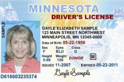 Driver's License Reinstatement