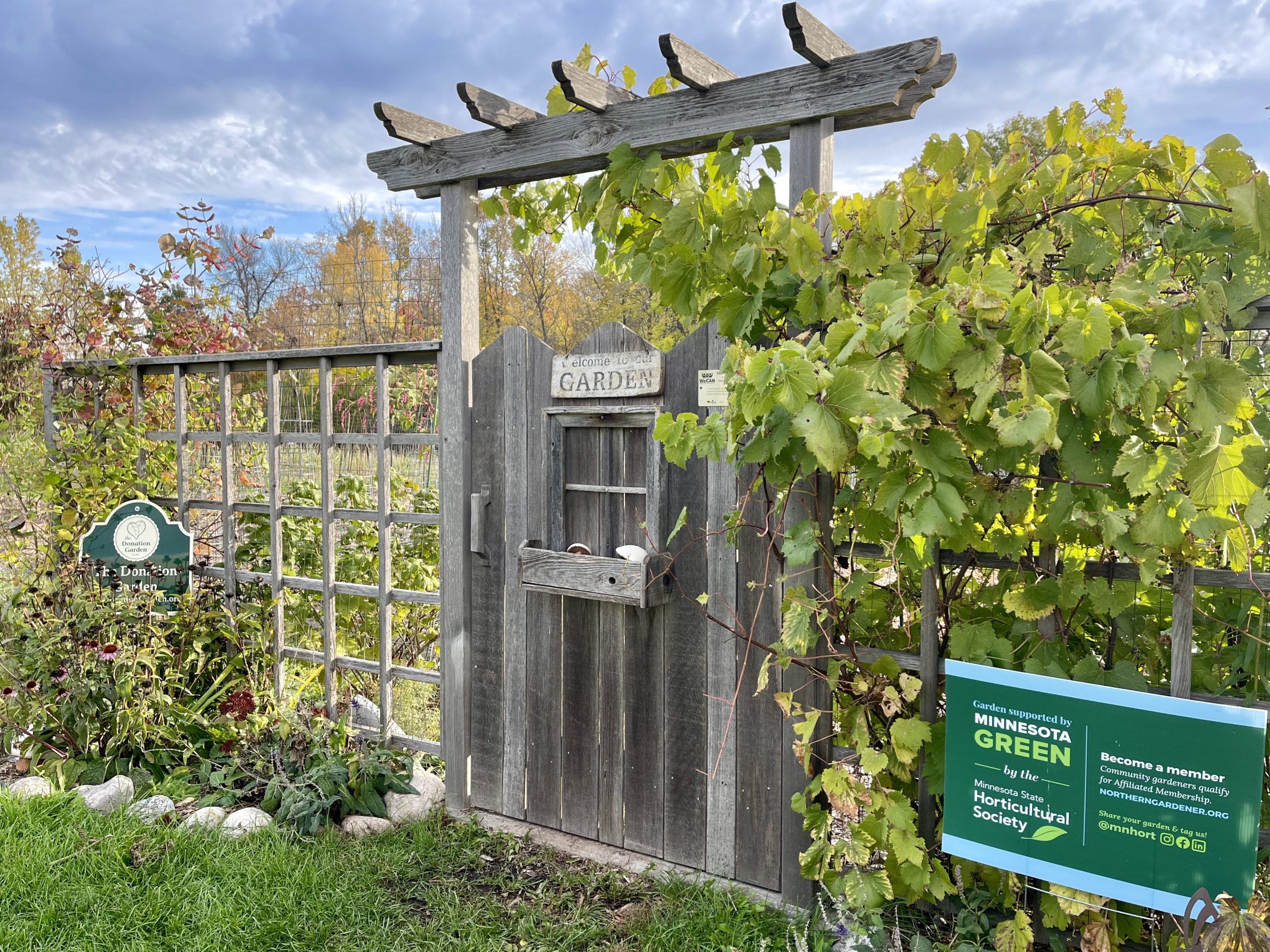 Donation Garden Orono