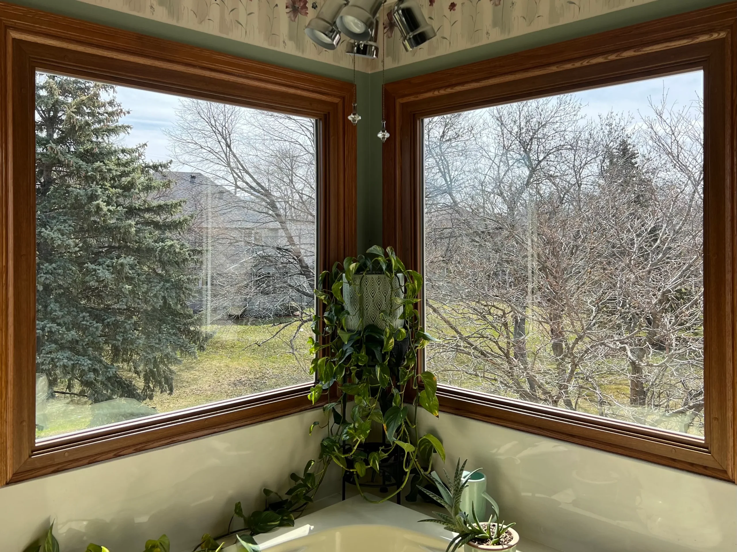 Finished exterior door and entry after a Minnesota replacement
