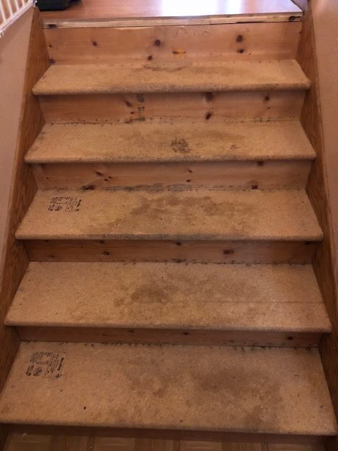 Michelle J. Laminate Overlay Steps, St Paul, MN