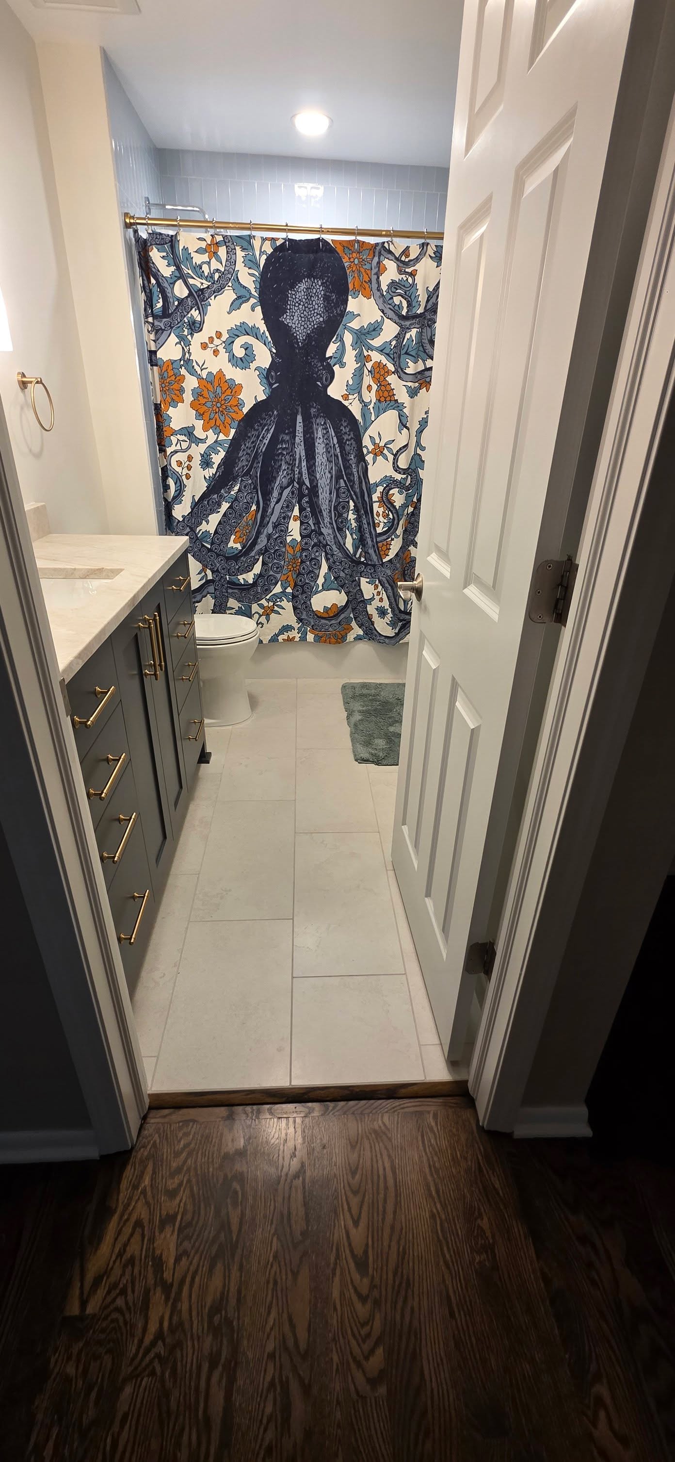 Gwen and Patrick C.  Bathroom Remodel, Minnetonka, MN