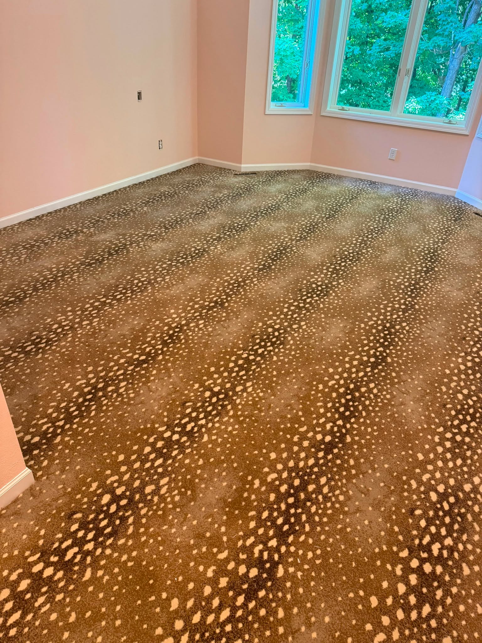Mary and Mark, Stark Wool Carpet, Wayzata, MN