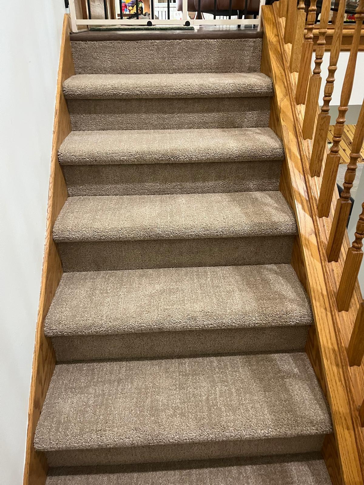 Joel B, Carpet Project, Waconia, MN