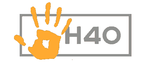 Hope 4 Orphans H40